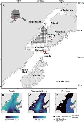 Joint spatiotemporal models to predict seabird densities at sea